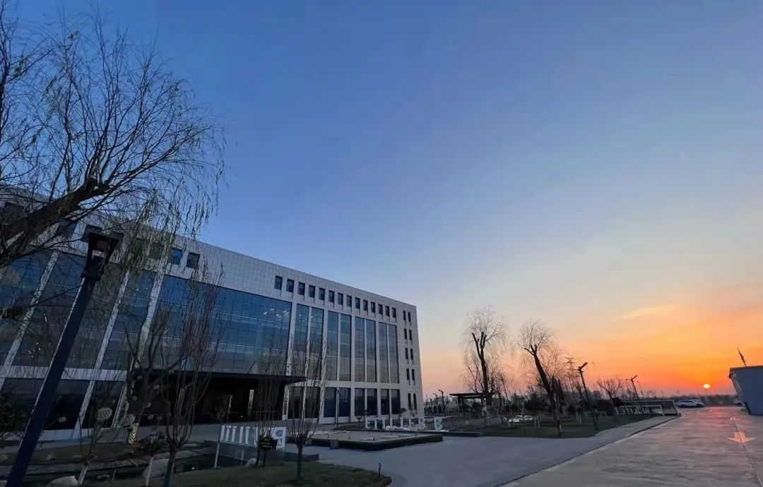 COVID-19가 계속해서 휘몰아치고 있지만 사랑과 따뜻함은 여전합니다 